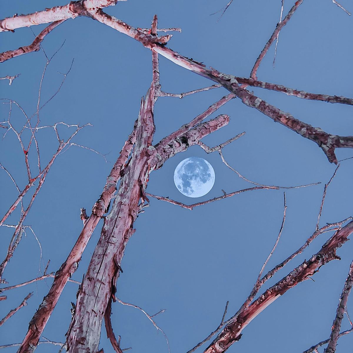 La Superluna del 7 de octubre en Piscis ilumina el cielo.