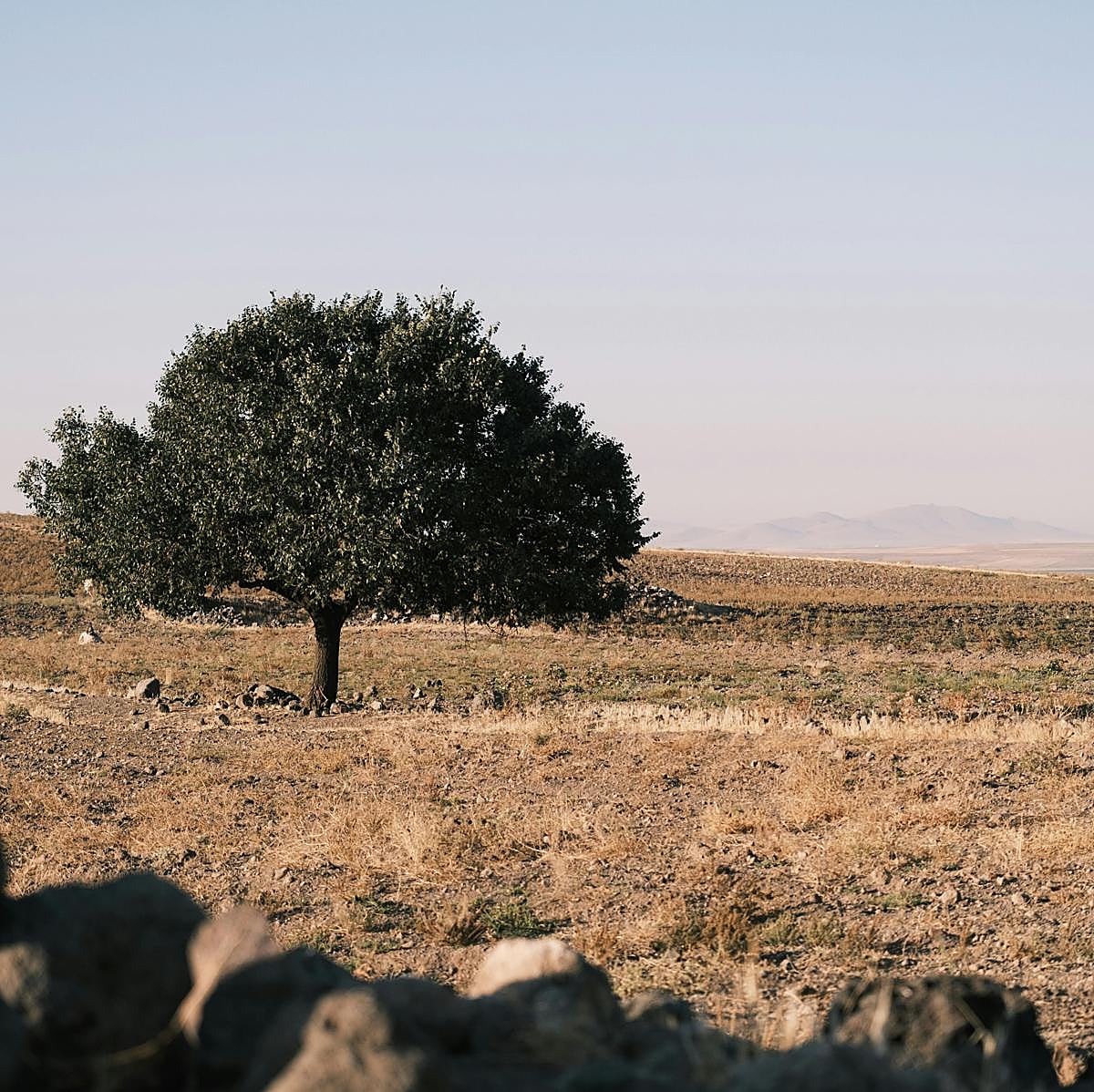 Imagen de un espacio que nos puede recordar a los que se describen en Yo que nunca supe de los hombres.