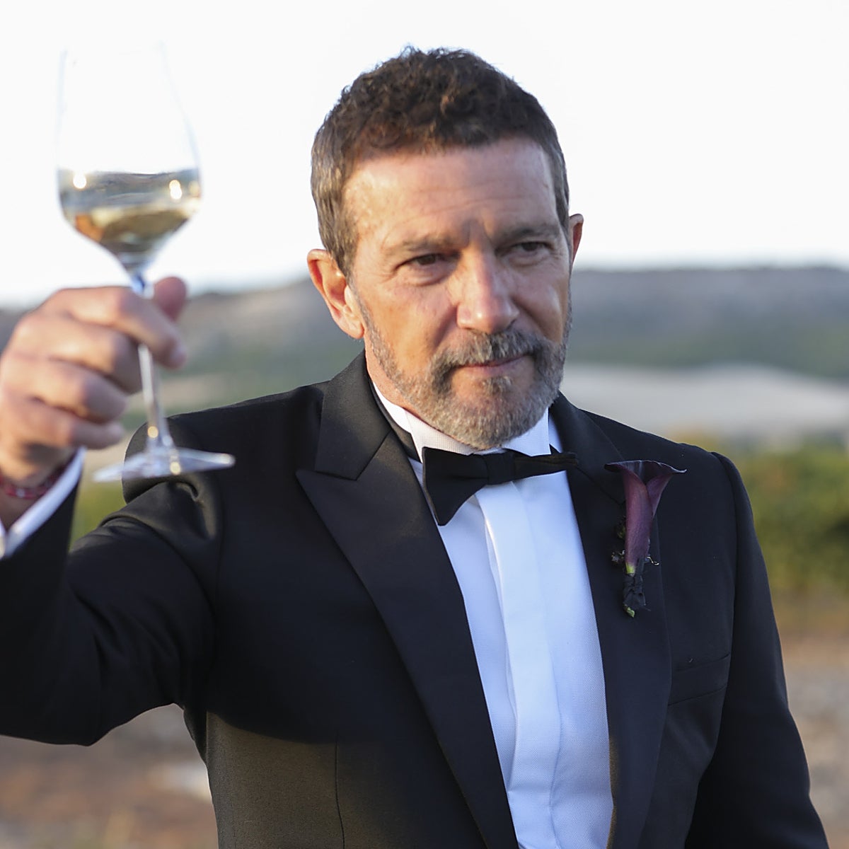Antonio Banderas brinda junto a los medios tras la boda de su hija Stella del Carmen.