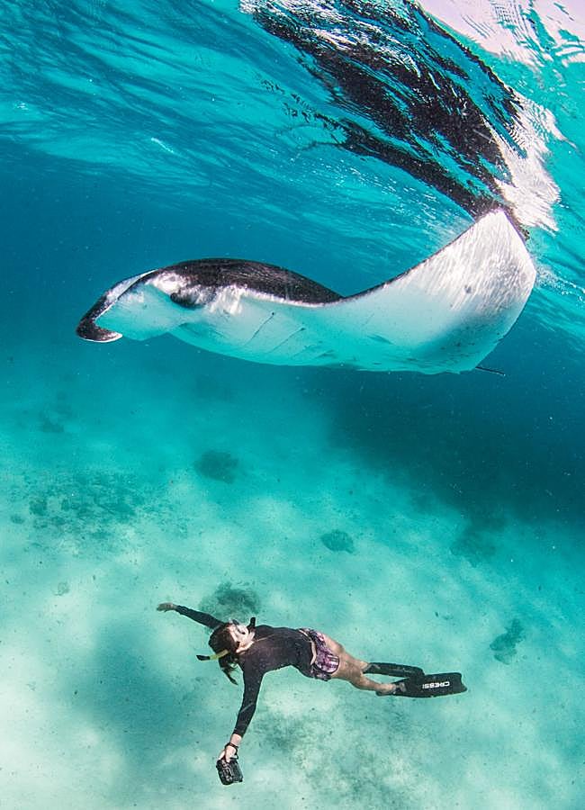 Imagen - Imagen proporcionada por Manta Trust Maldivas, organización que cuida a las mantarrayas y colabora con InterContinental Maldivas.