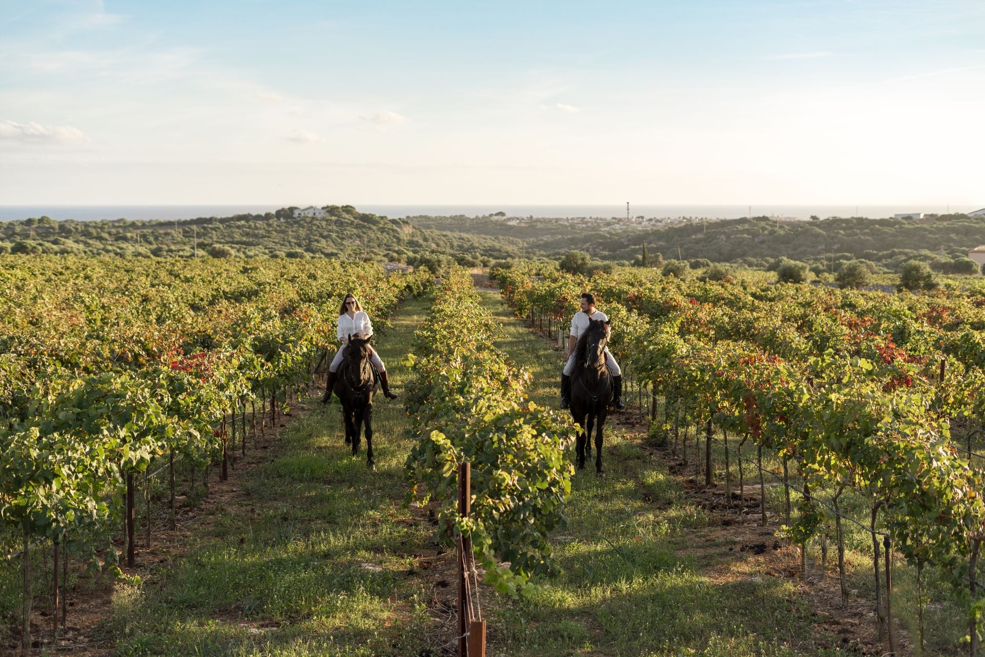 Camí de Cavalls desde Torralbenc.