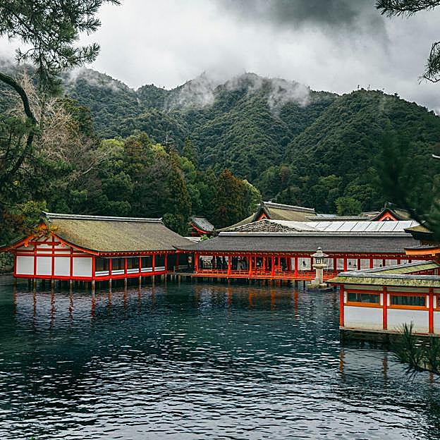 La literatura japonesa está de moda y estas son las novelas que lo confirman