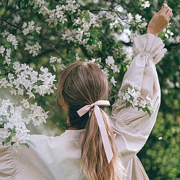 Cómo eliminar los pulgones de tus plantas: trucos fáciles que funcionan rápido