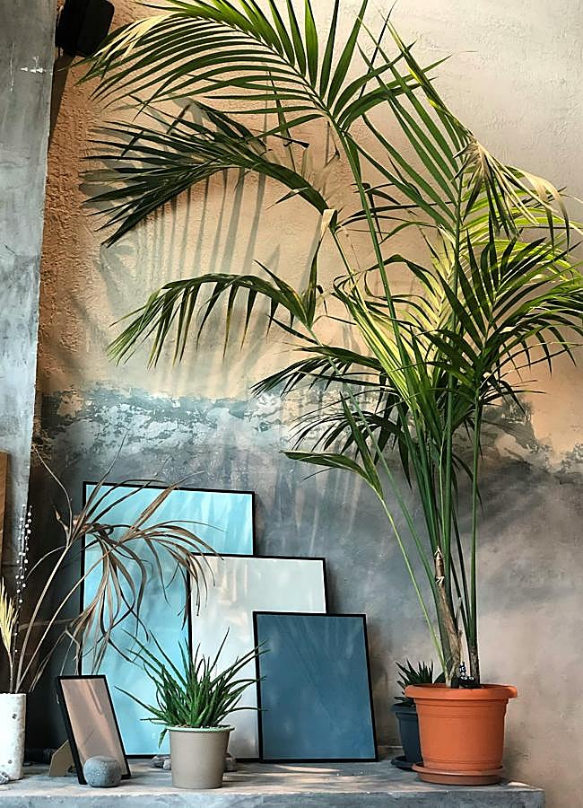 Imagen - FOTO: PEXELS