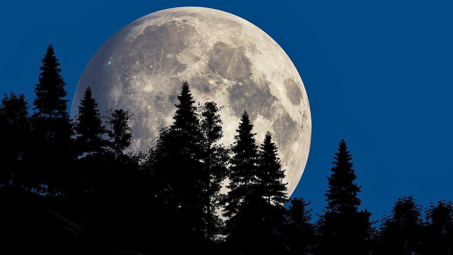 Cómo te va a afectar la Luna Llena en Géminis, la primera de 2026 ...