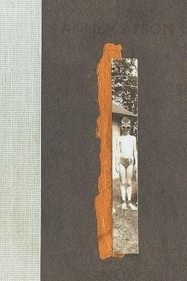Portada de NOX, de Anne Carson