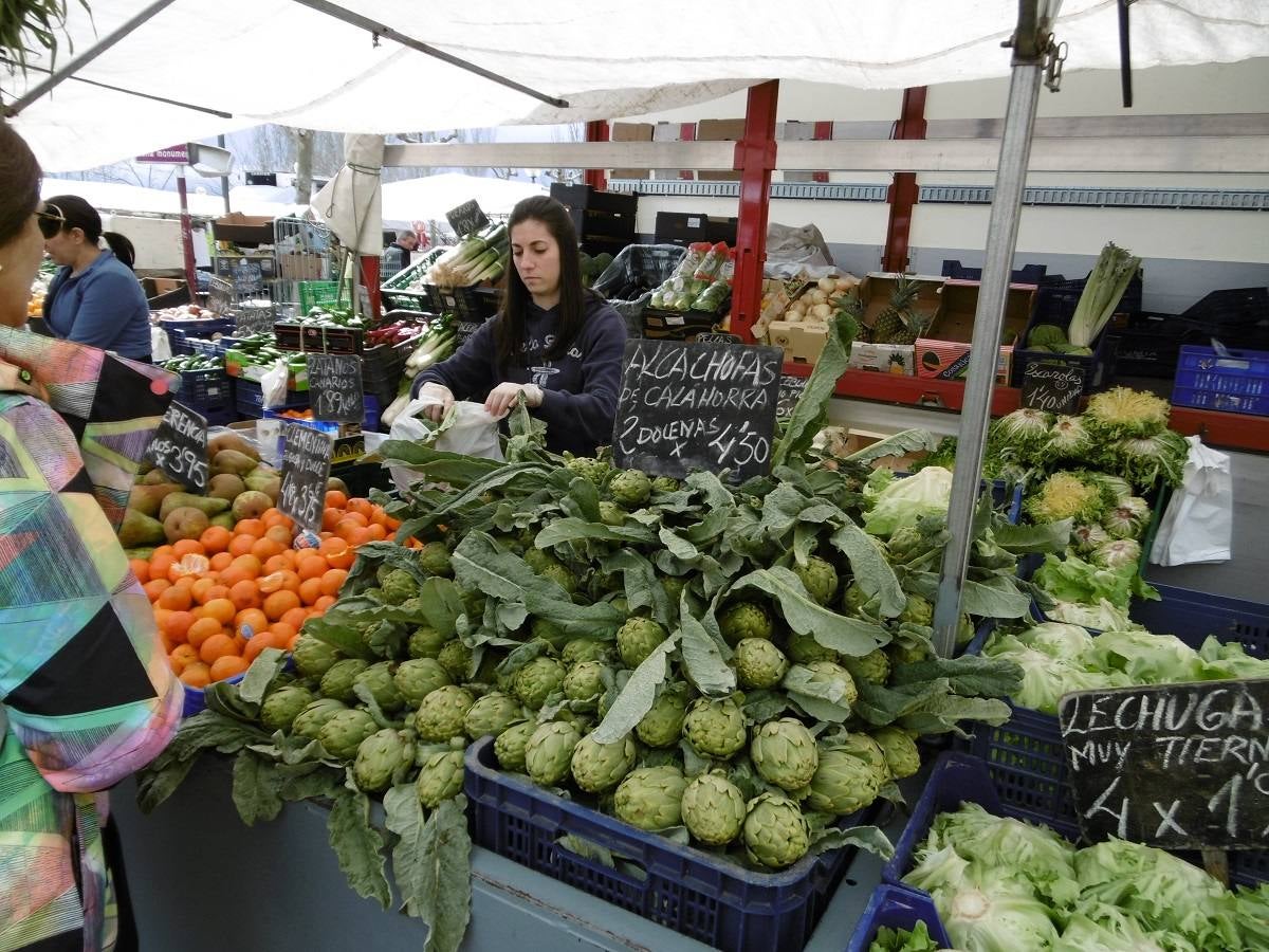 Verduras de la vega del Ebro.