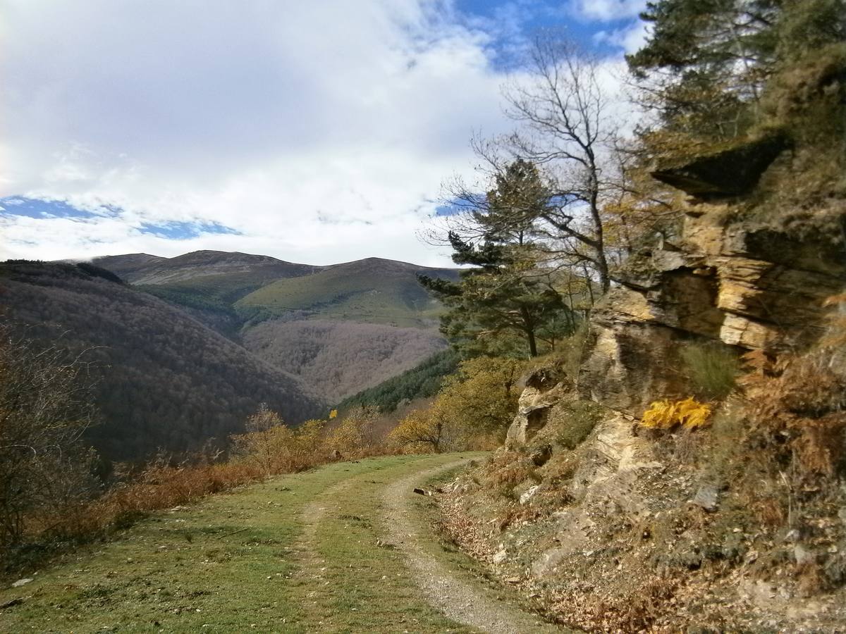Vista de los Pancrudos.. 