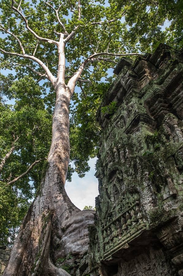 Un reino de pesadilla