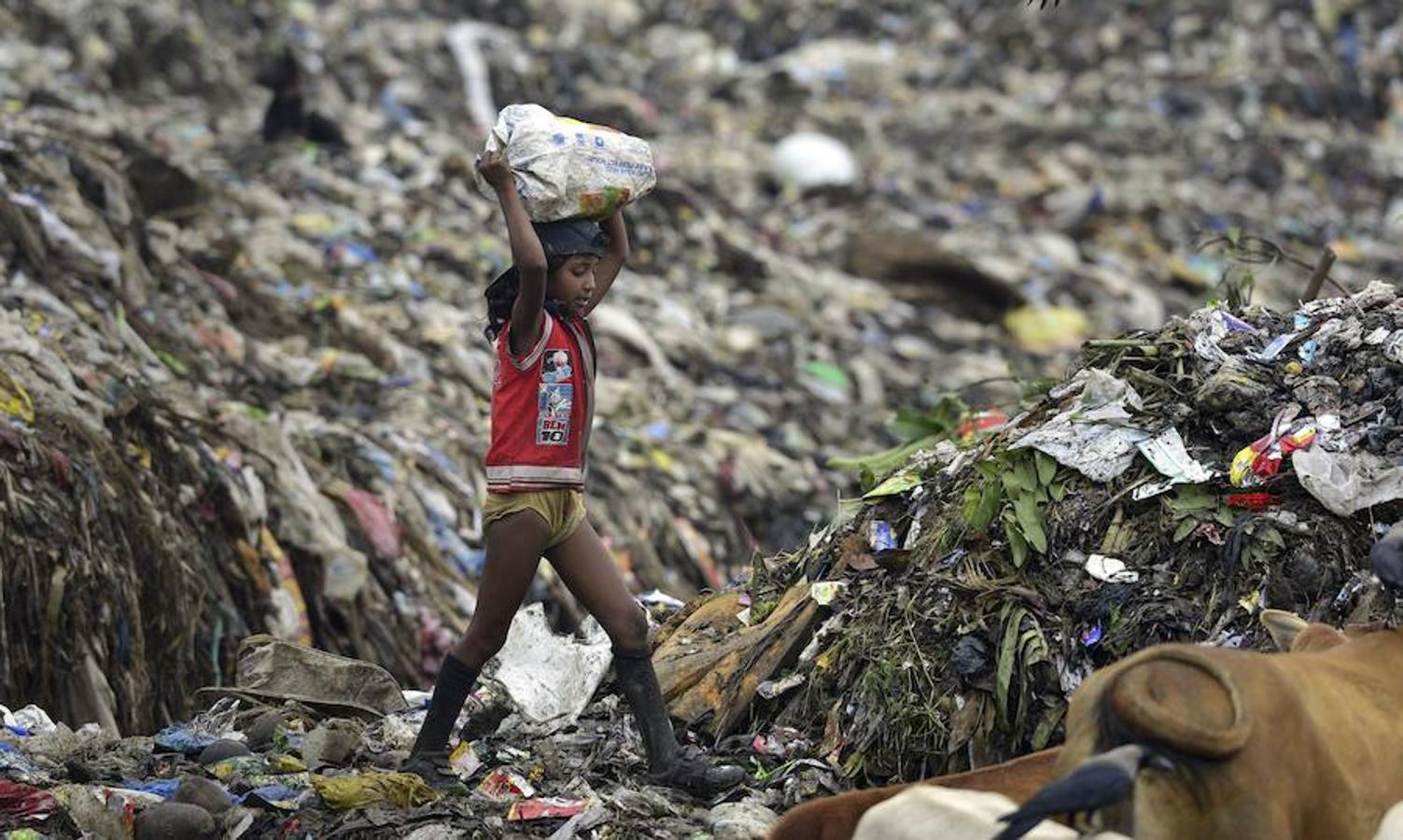 Una niña india recoge basura en un vertedero.