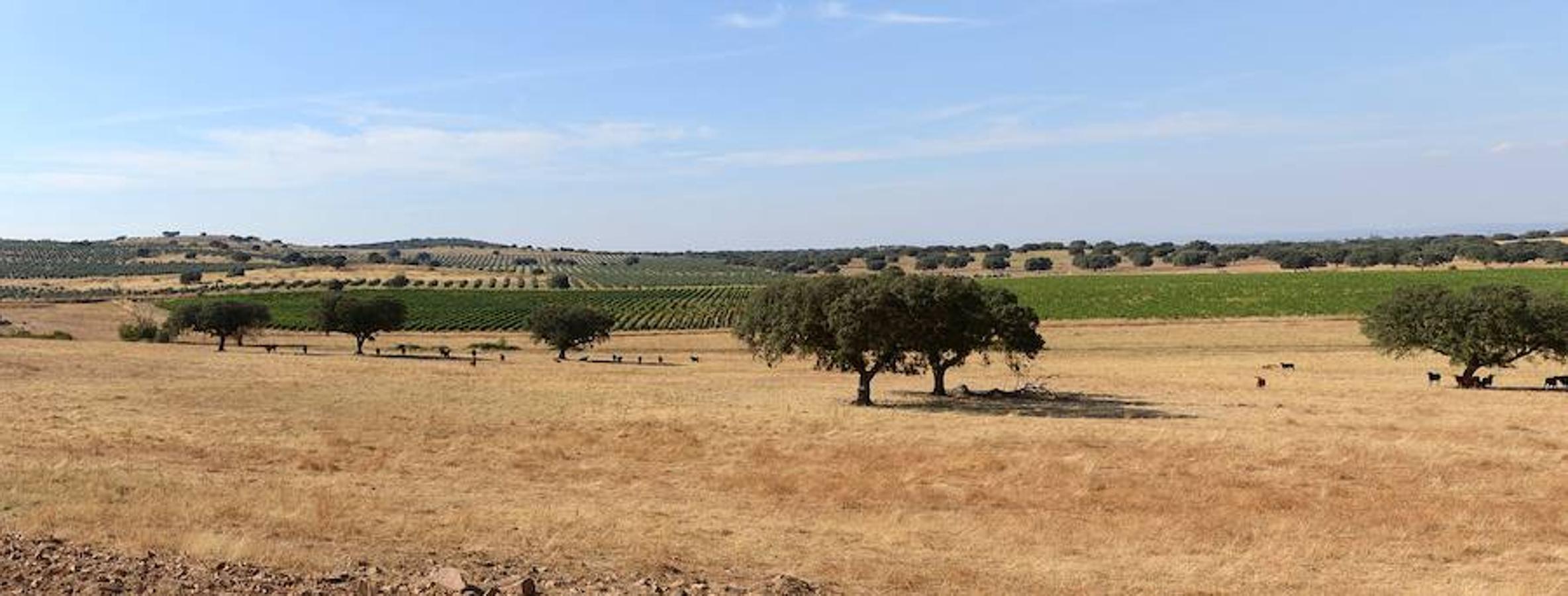 Alentejo