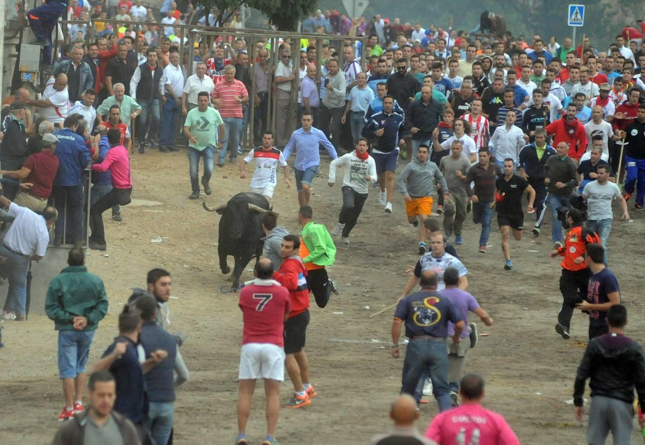 Tordesillas celebra su primera fiesta sin Toro de la Vega