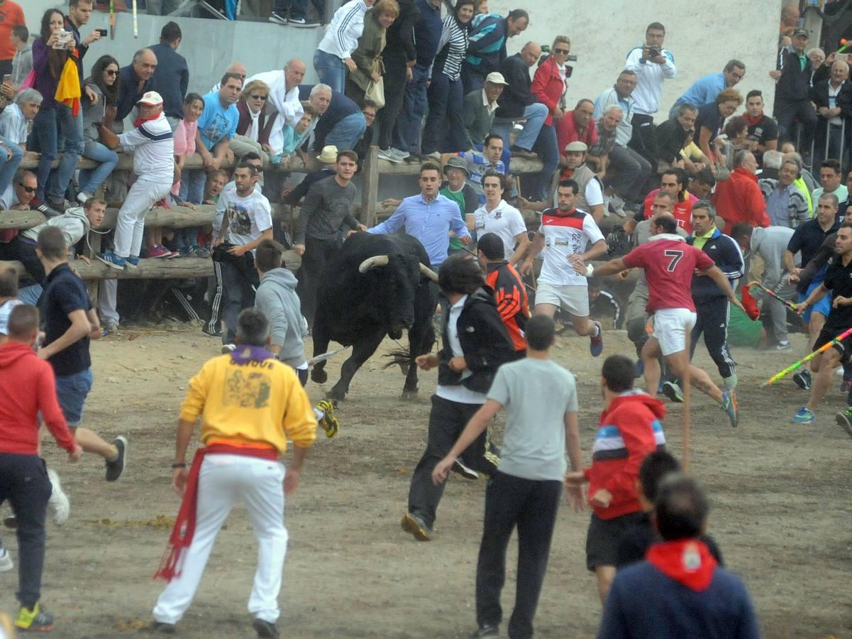 Tordesillas celebra su primera fiesta sin Toro de la Vega