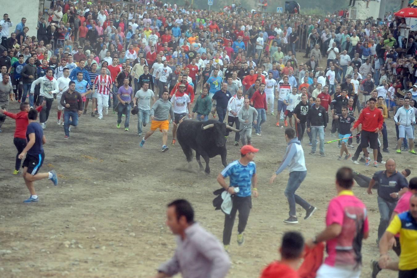 Tordesillas celebra su primera fiesta sin Toro de la Vega