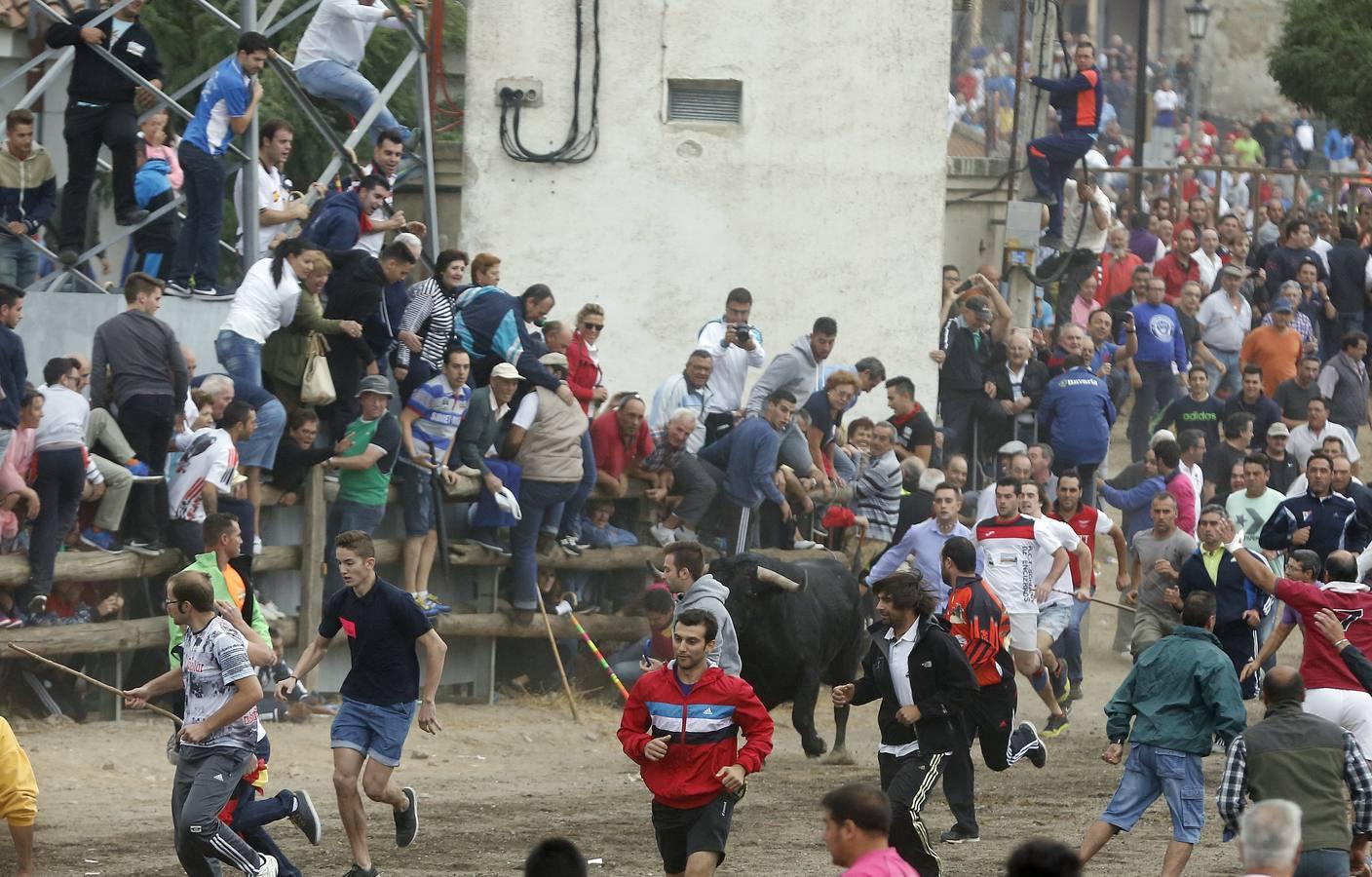 Tordesillas celebra su primera fiesta sin Toro de la Vega