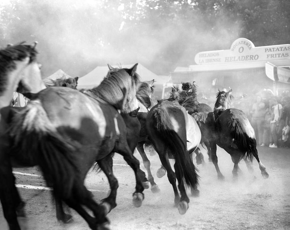 Las “bestas” quedan libres hasta el año siguiente donde pueblo, aloitadores y animales volverán a encontrarse para dar vida a una tradición que ha perdurado durante siglos.