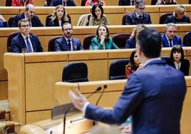 Sánchez se dirige a Feijóo durante su intervención en el Senado