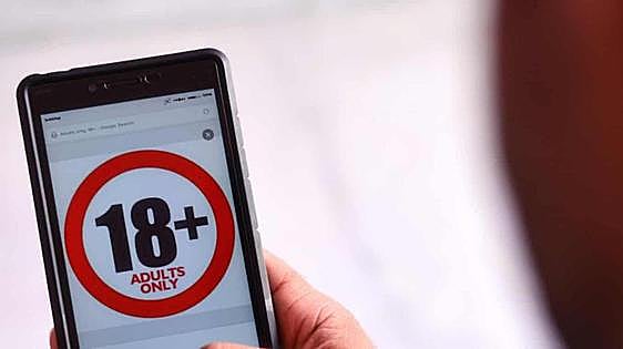 El acceso de menores a webs porno, el bloqueo pendiente