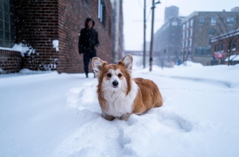 Un temporal de frío y nieve congela el norte de EE UU