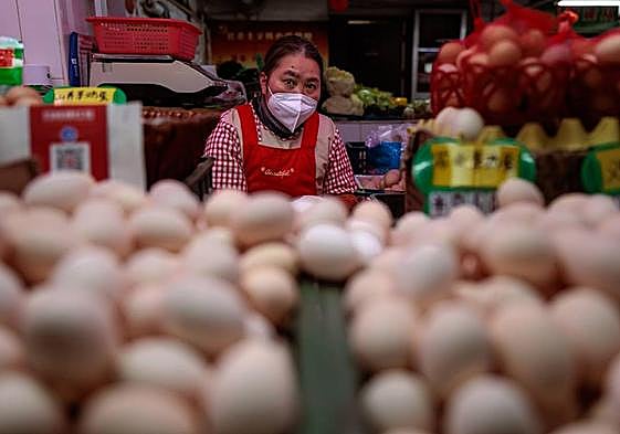 La gripe aviar ya infecta a mamíferos, ¿qué riesgo implica para los humanos?