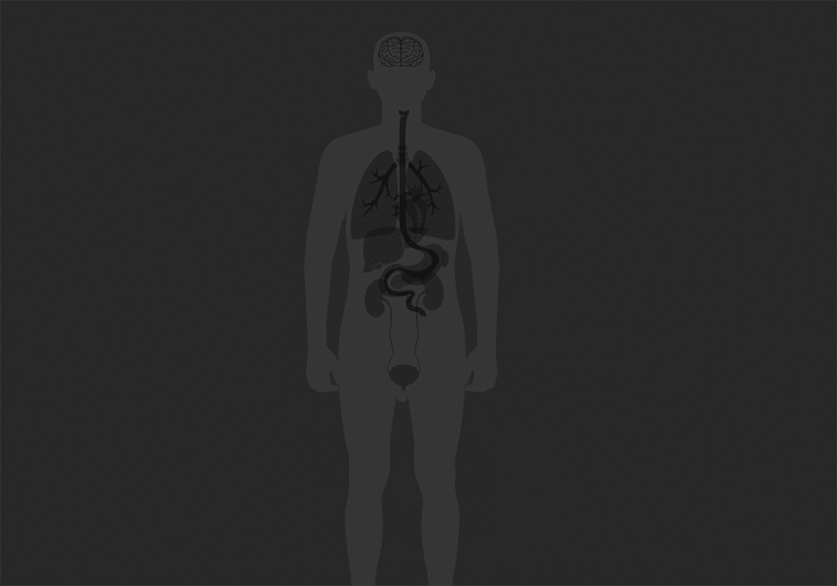 70 autopsias revelan que el covid es capaz de dañar cualquier órgano del cuerpo