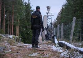 La obra para levantar el muro entre Finlandia y Rusia ha comenzado con la tala de árboles.