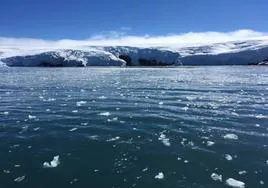 Bloques de hielo flotan en el agua frente a la costa del glaciar Collins, en la Isla Rey Jorge, Antártida.