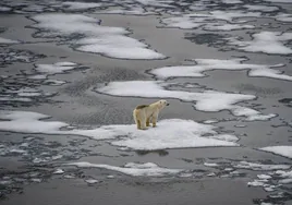 IPCC y cambio climático: por qué el último informe de la década es importante sin decir nada nuevo