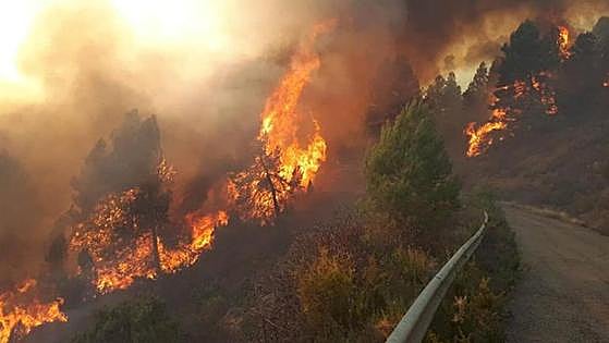 Una brigada municipal provocó el incendio de Castellón cuando limpiaba una senda