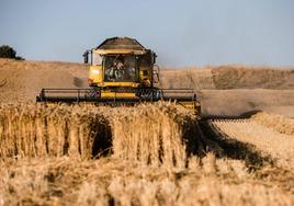 Los alimentos se resisten a bajar pese a las ayudas al campo y la rebaja del IVA