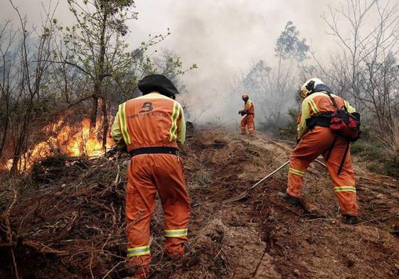 Bomberos trabajando en uno de los incendios en Asturias.