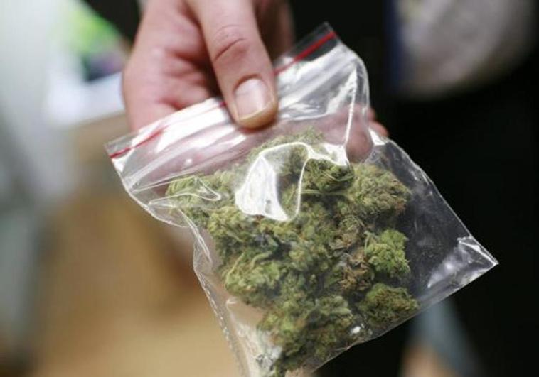 Alemania legalizará el cannabis de manera progresiva