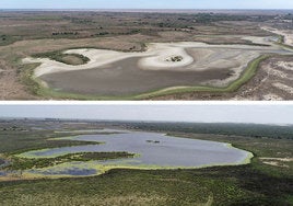 Doñana está en la UCI