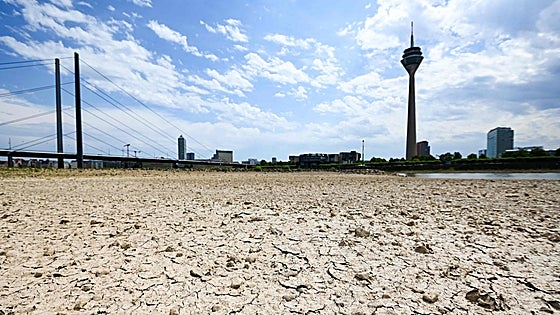 La sequía golpea a los ríos europeos: dos de cada tres llevan menos agua