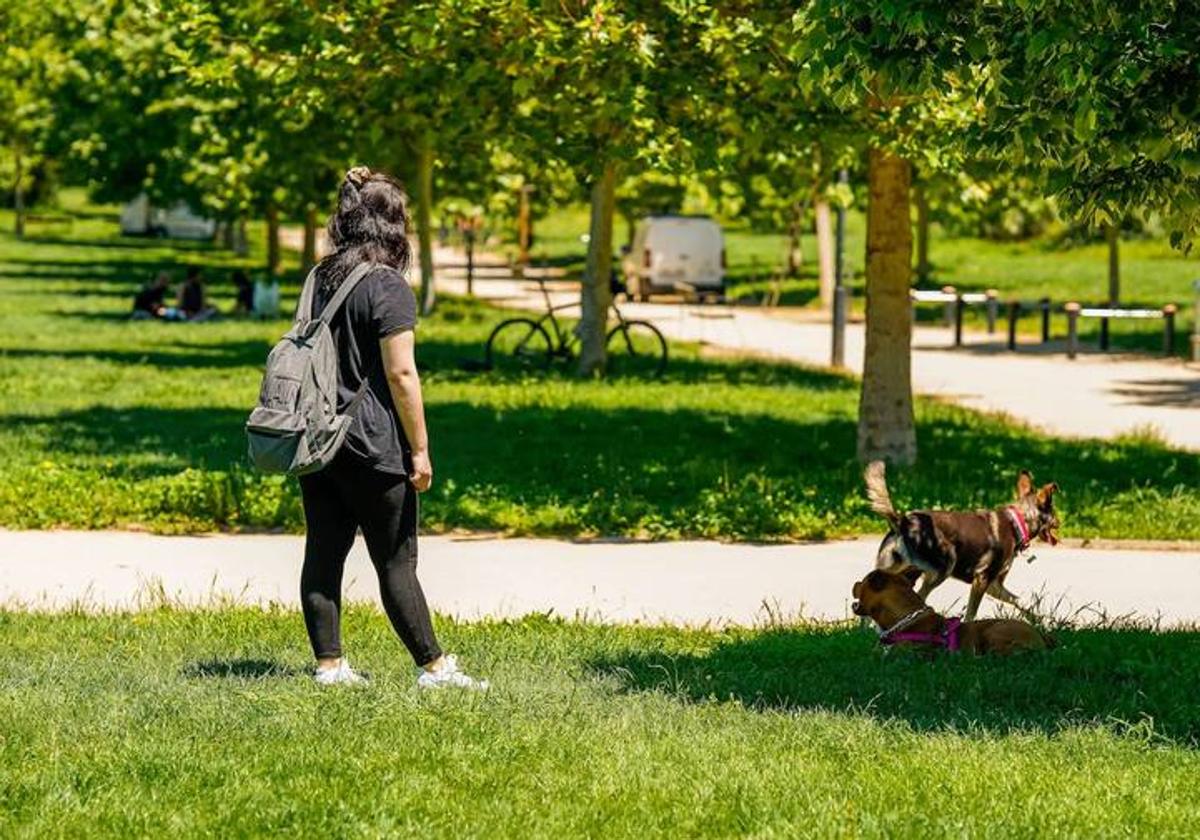 Una mujer pasea a su perro por las inmediaciones de donde ocurrieron los hechos.