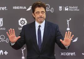 Benicio del Toro.