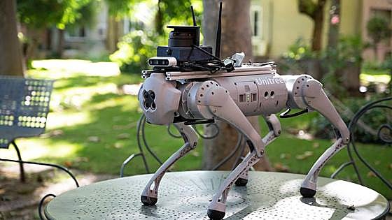 Tefi, el perro guía del futuro