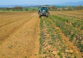 El Gobierno rebaja en 1.800 millones los impuestos a los agricultores por la sequía