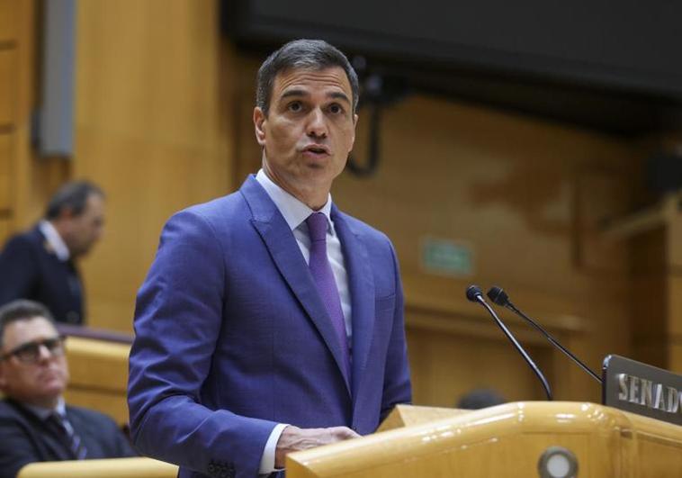 Pedro Sánchez se dirige al pleno del Senado este martes.