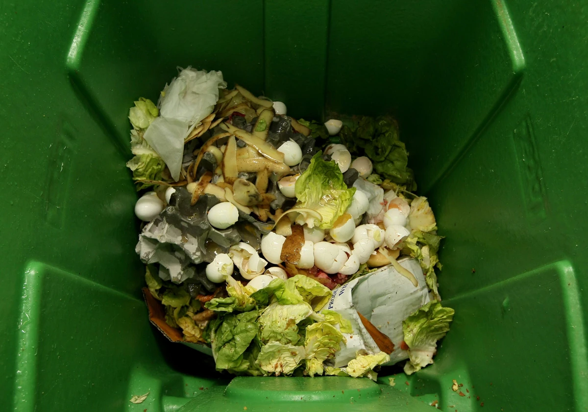 Alimentos en el cubo de la basura.