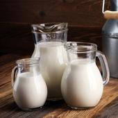 Por qué somos la única especie que toma leche en la edad adulta?