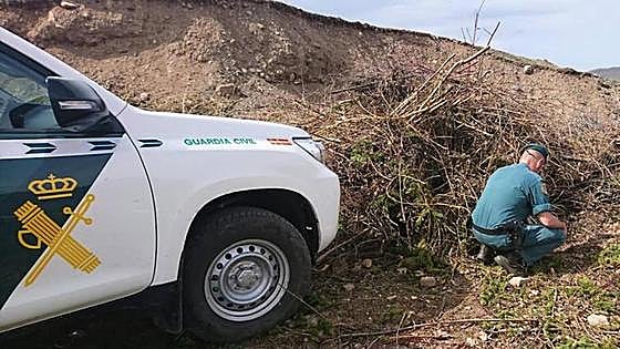 Investigan a una persona por enterrar a una mastina viva en un vertedero de León