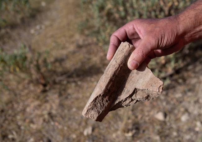 Restos de una teja de una de las 'statios'.