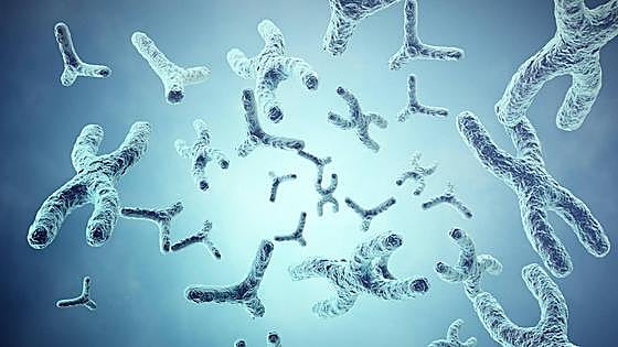 Avanzan en el conocimiento de unas variaciones en el genoma que provoca enfermedades como el cáncer