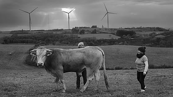 El legado de la transición energética a golpe de flash