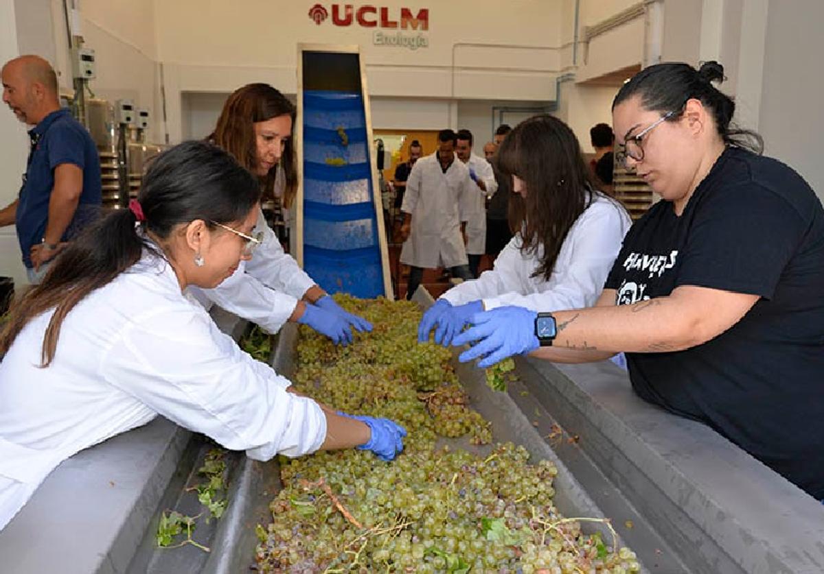 Un grupo de alumnos de enología logra elaborar sus propios vinos