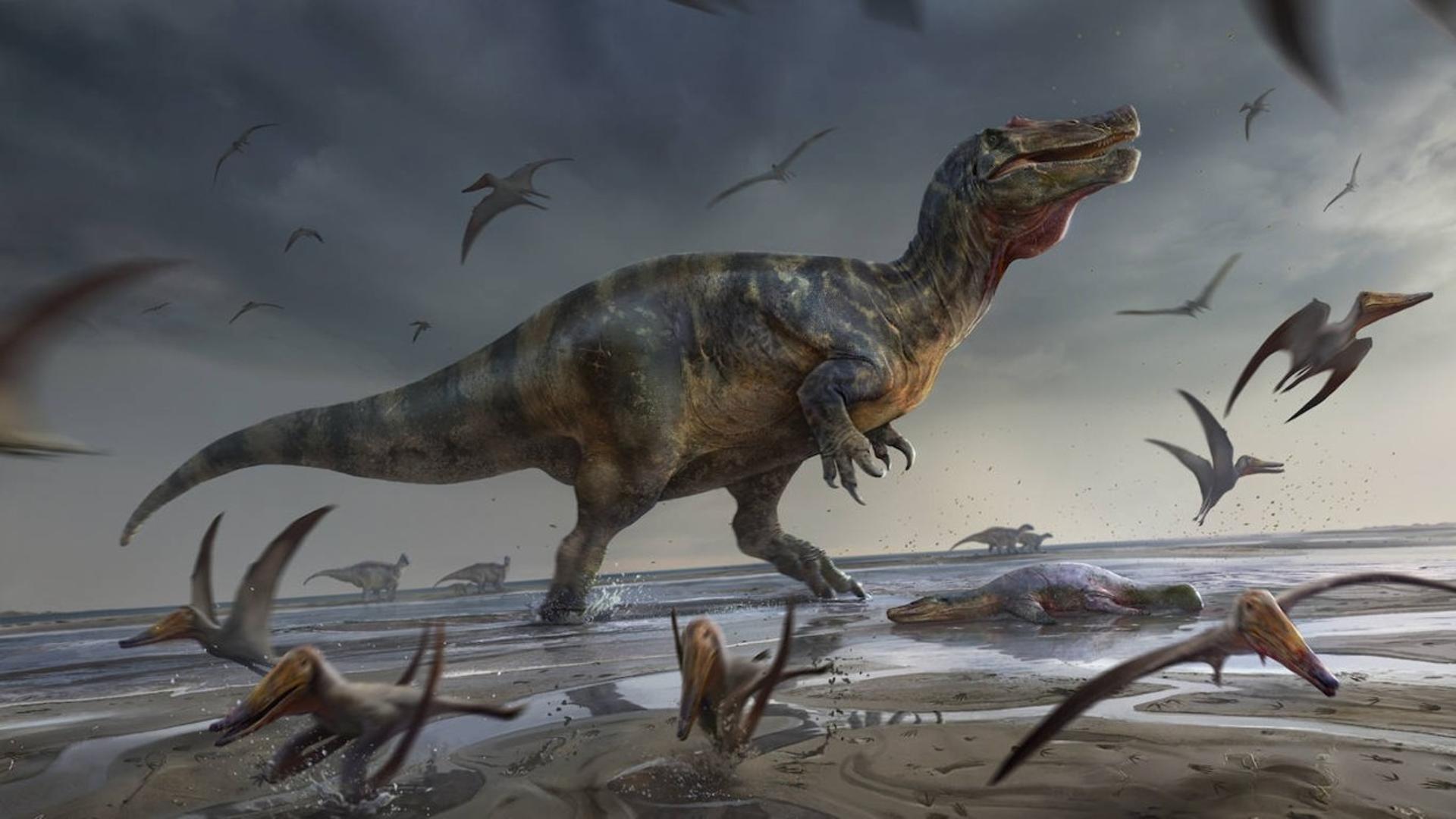 This was the spinosaurid, the giant that could never have killed the T-Rex in 'Jurassic Park 3'