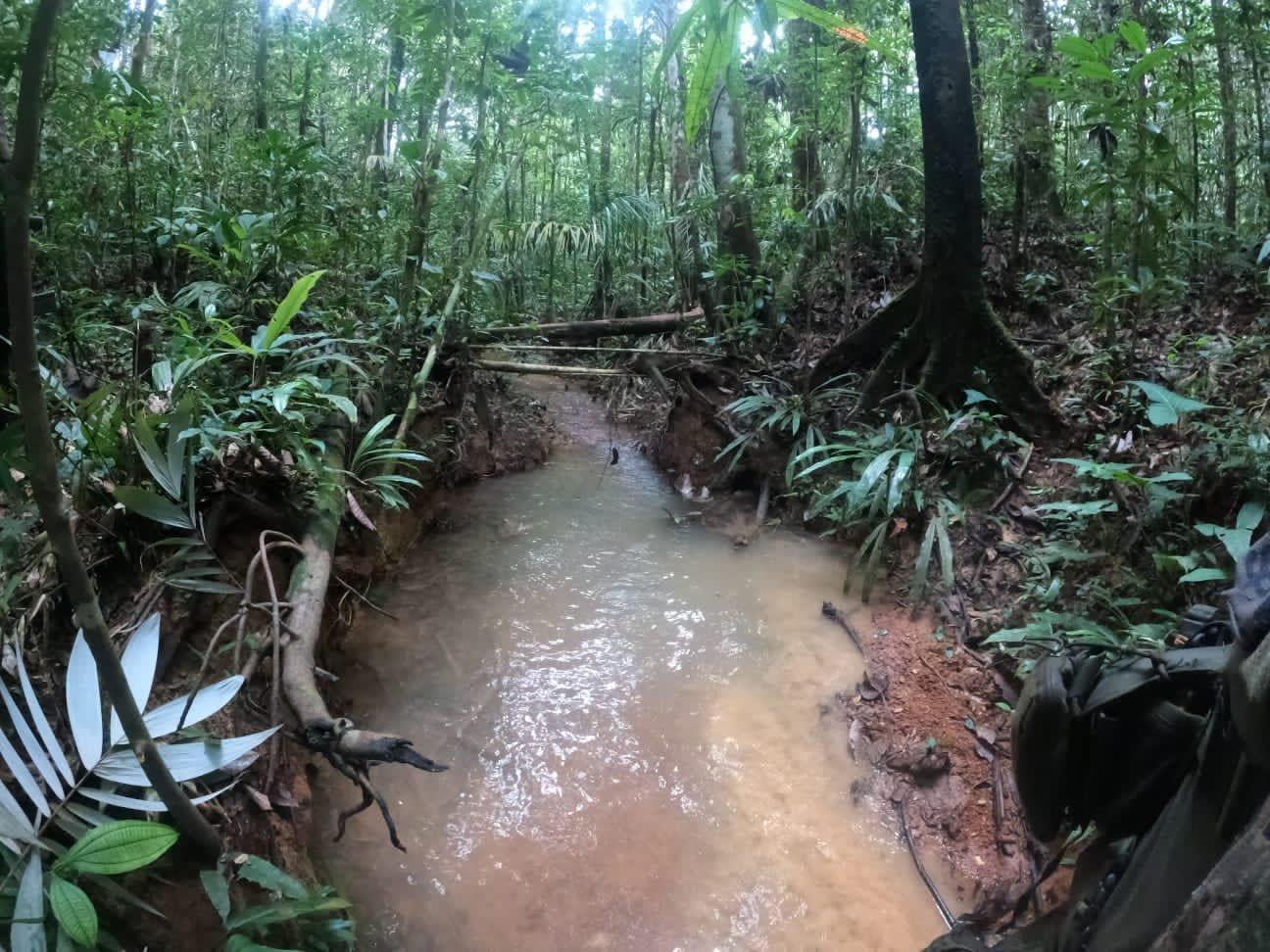 Tramo de río donde se han encontrado las huellas.