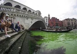 Varios turistas observan las aguas del Gran Canal de Venecia teñidas de verde.