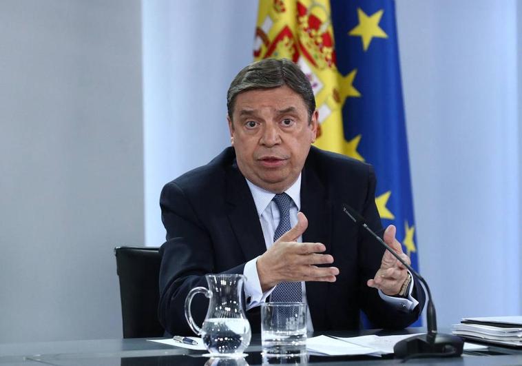 Planas defiende que España asegurará el normal funcionamiento de su presidencia europea